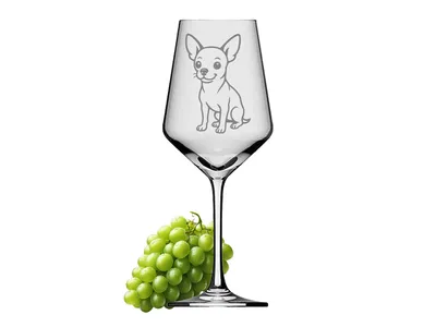eXODA Weinglas Chihuahua robust spülmaschinenfest ideal für Weinliebhaber 350 ml