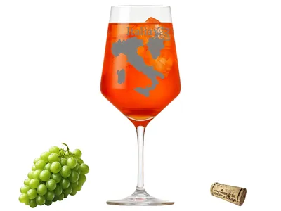 eXODA Weinglas mit Landkarte Italien elegante Gravur spülmaschinenfest 350 ml