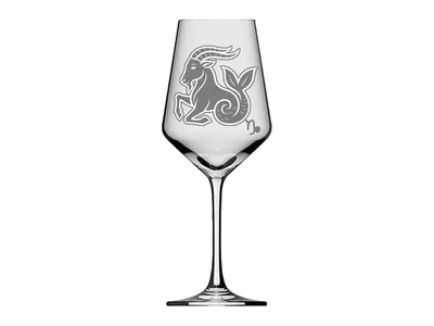 Weinglas Sternzeichen Steinbock 350ml spülmaschinenfest stilvolles Design für Weinliebhaber