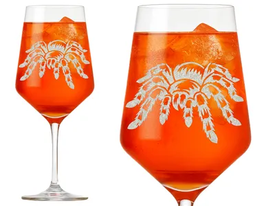 1x Weinglas Tarantel Vogelspinne 350ml spülmaschinenfest mit individueller Gravur