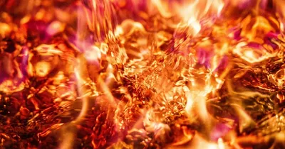 Hitzewelle in Deutschland: Herausforderungen und Maßnahmen