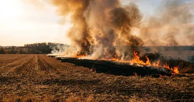 Großbrand bei Staven: Sechs Verletzte und Evakuierungen