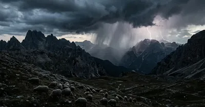 Blitzschlag tötet zahlreiche Schafe in den Schweizer Alpen