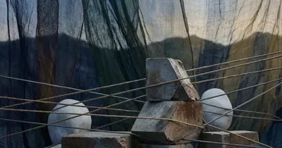 Aktuelle Entwicklungen zu Vorfällen mit Säuglingen in Deutschland