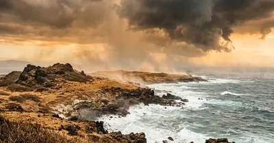 Hitzewelle auf Mallorca: Wetterextreme und deren Auswirkungen
