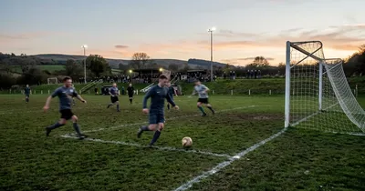 Regionalliga Bayern: Auftaktspiel FC Bayern München II gegen SC Eltersdorf