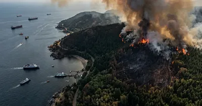 Waldbrände in Peschici: Über 400 Menschen evakuiert
