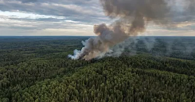 Brand im Hohen Venn: Ermittlungen zur Ursache laufen