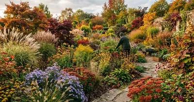 Pflanzen im Fokus: Von Gartenpflege bis zu invasiven Arten